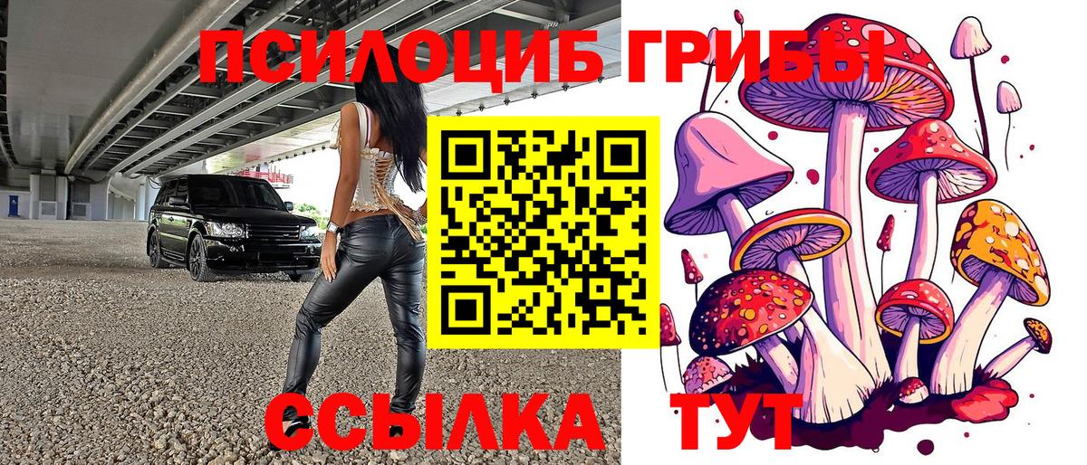 Галлюциногенные грибы прущие грибы  Псилоцибиновые грибы Psilocybe  Вход с VPN  Сыктывкар 